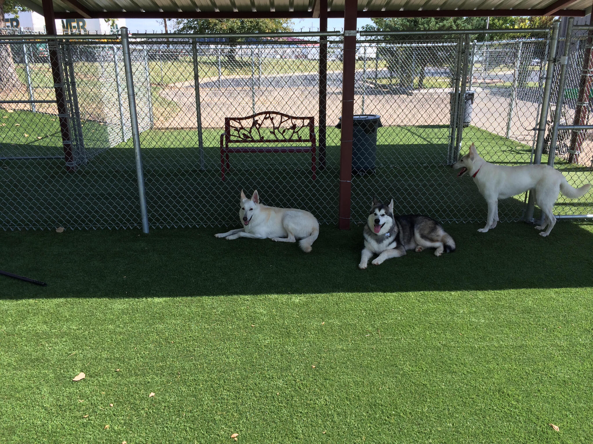 Turf project in Pearland, TX